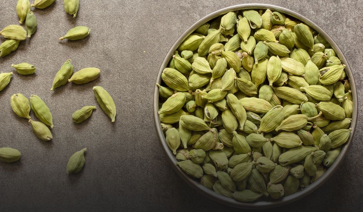 Cardamom Farming