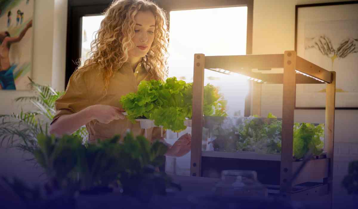 Indoor Garden Business